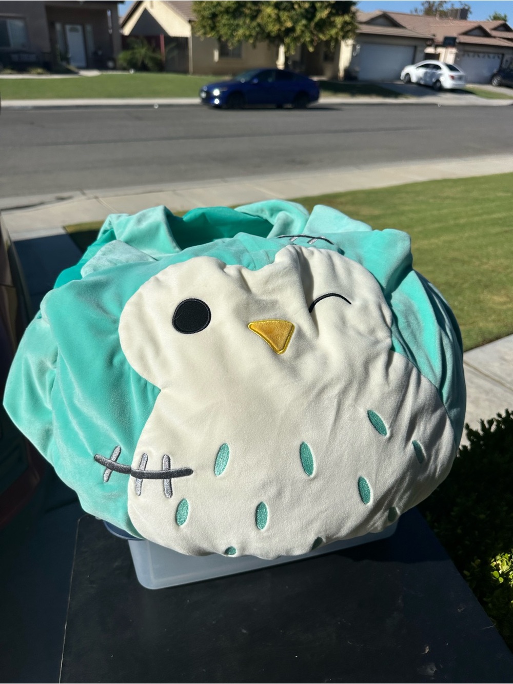 Squishmallows Plush Tagged Soft Teal costume